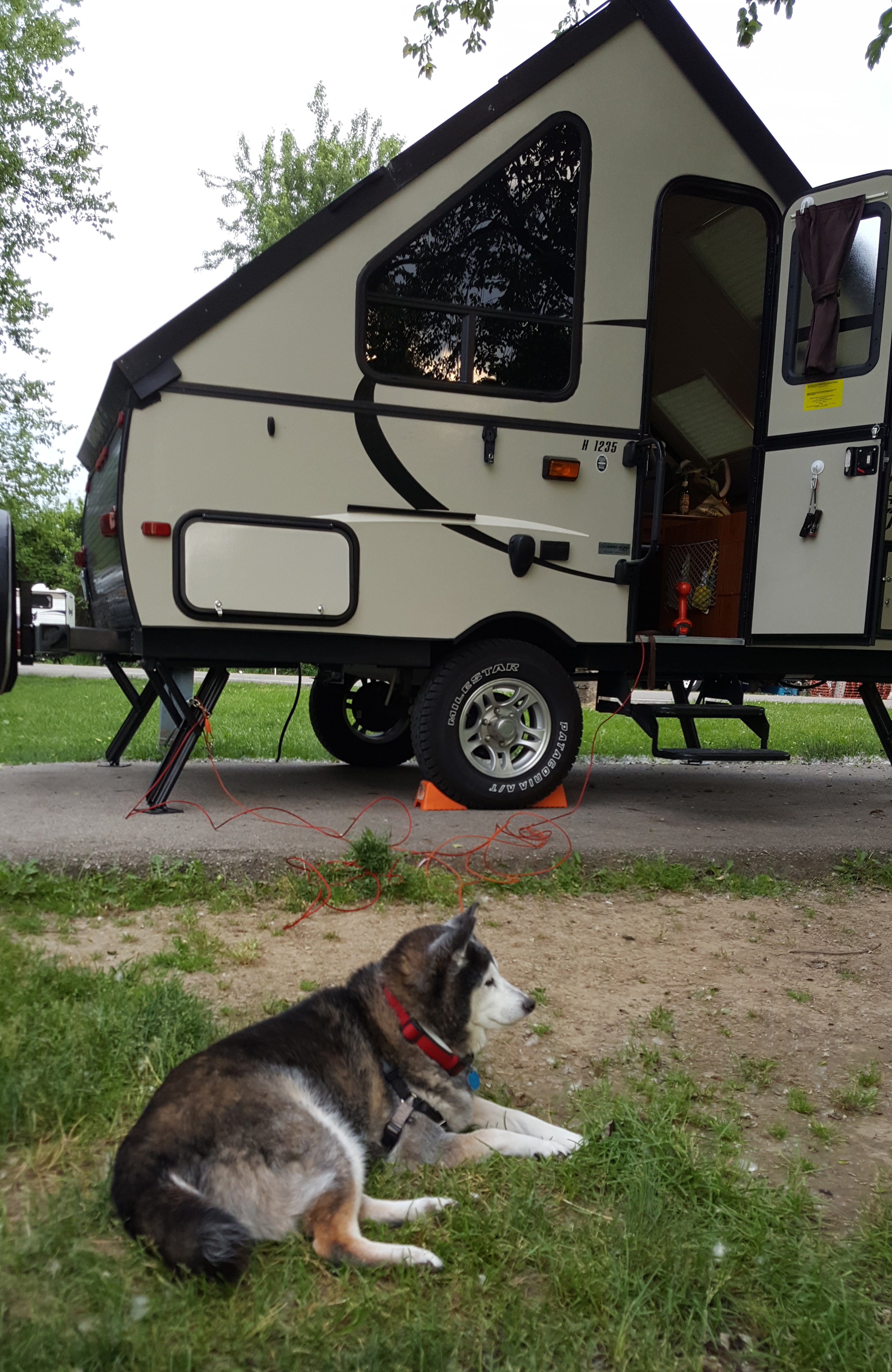 Our old dog sitting beside the a-frame camper