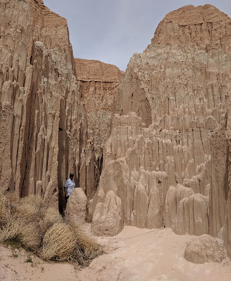 Russ standing beside sandstone pillars in Cathedral Gorge State Park. Tumbleweeds collect in a corner.