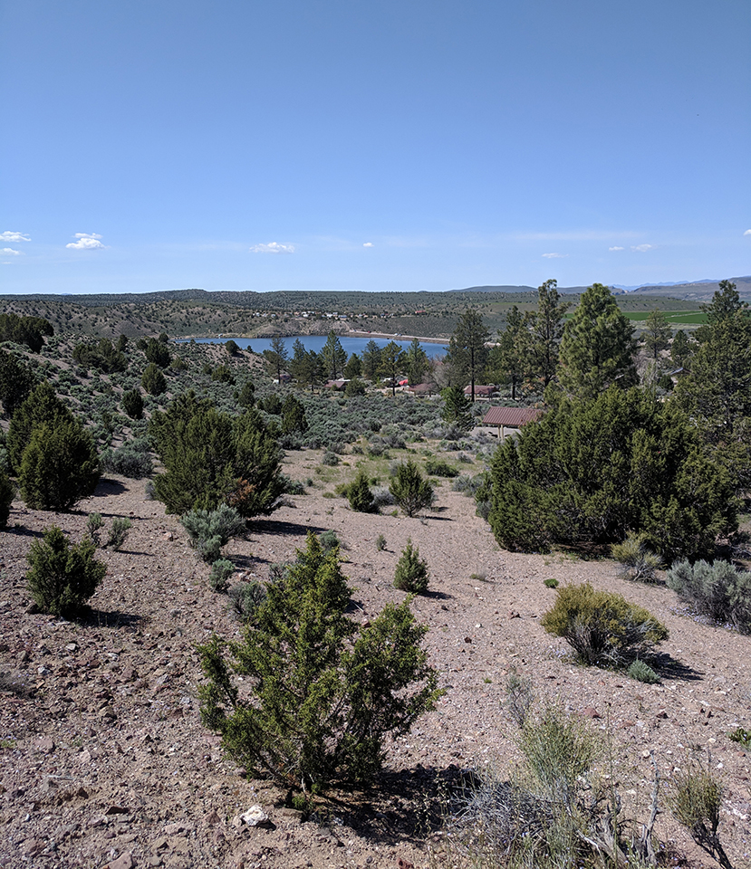 Desert shrubs in the foreground with a lake in the background