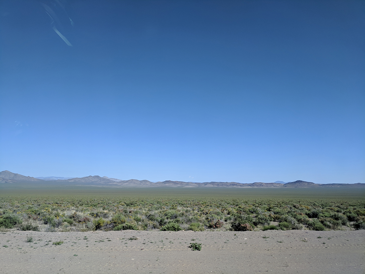 Nevada's blue skies and a surprisingly green desert